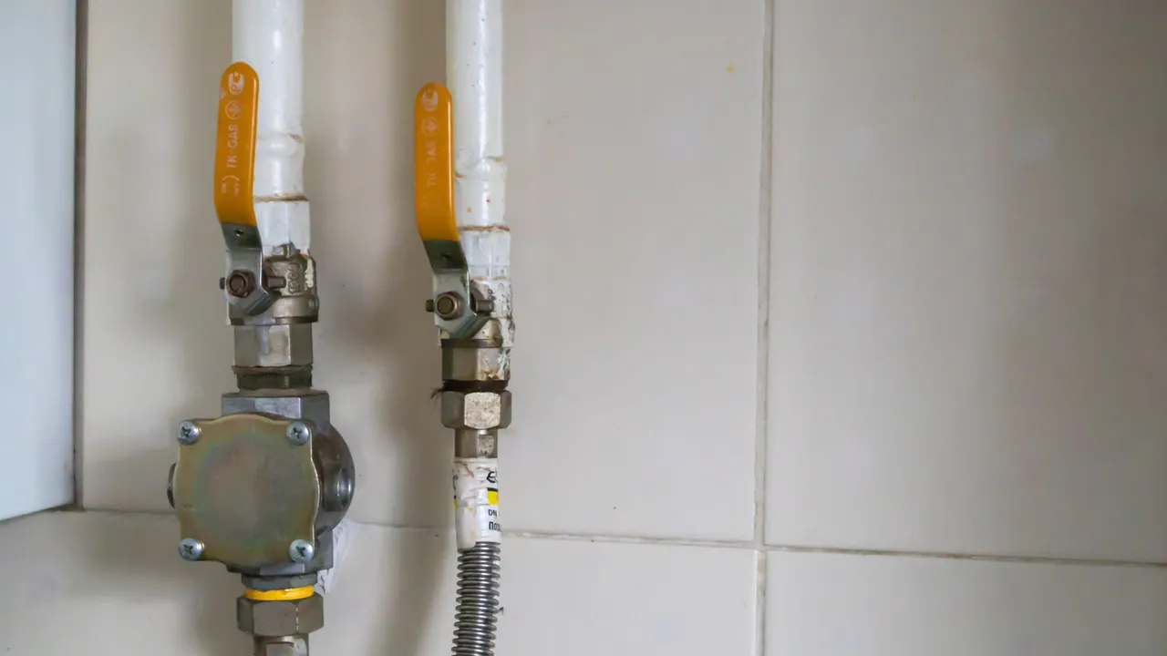 local plumber