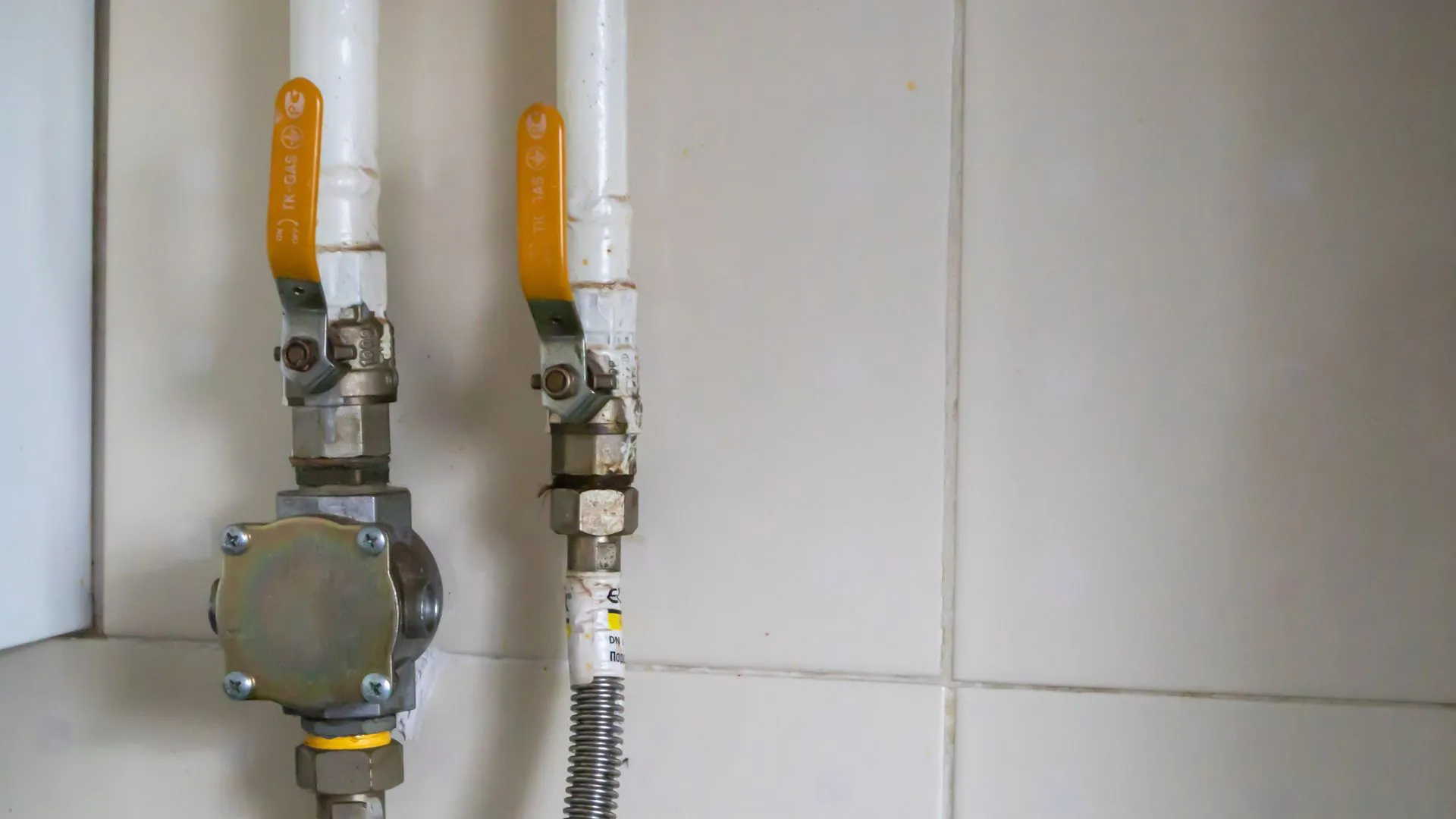 local plumber