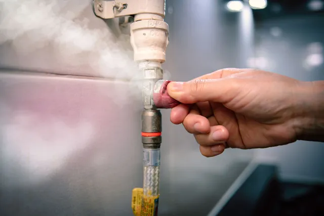 local plumber
