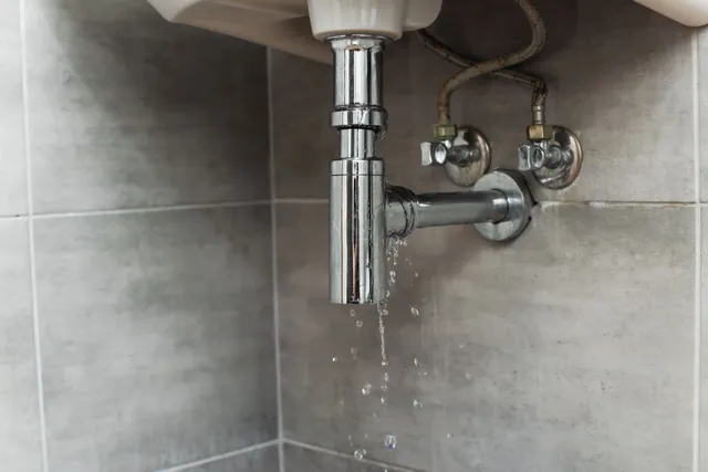 local plumber